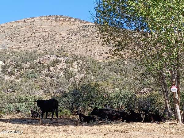 9 Acres of Land for Sale in Humboldt, Arizona