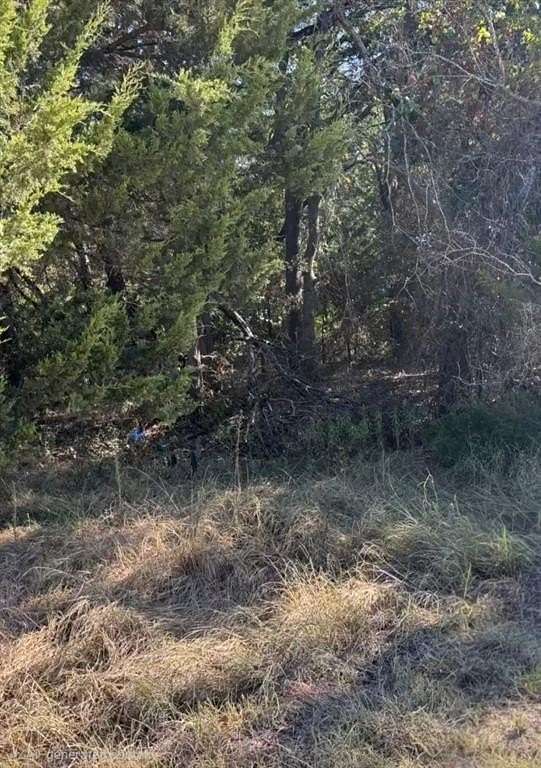 0.39 Acres of Residential Land for Sale in Purdon, Texas