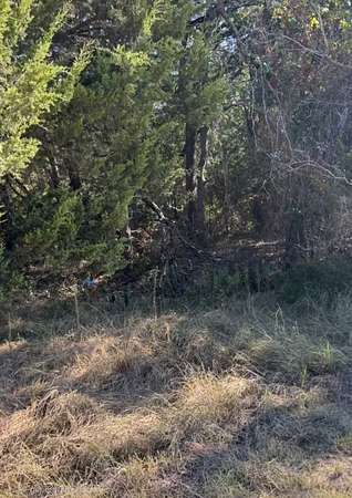 0.39 Acres of Residential Land for Sale in Purdon, Texas