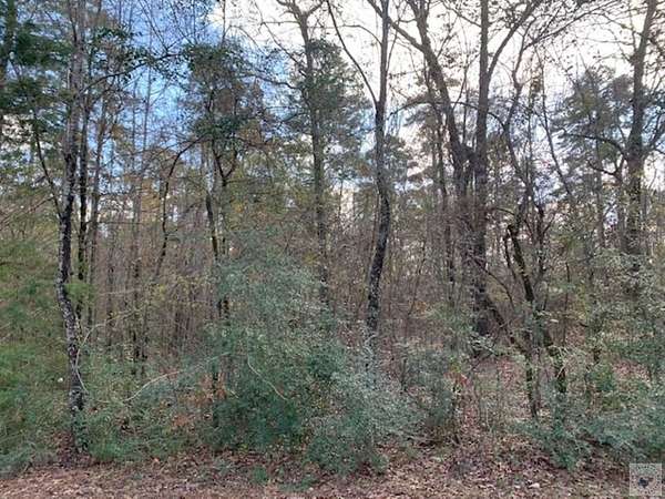 3.86 Acres of Residential Land for Sale in Texarkana, Arkansas