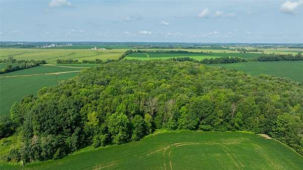 26.5 Acres of Recreational Land for Sale in Glenwood City, Wisconsin