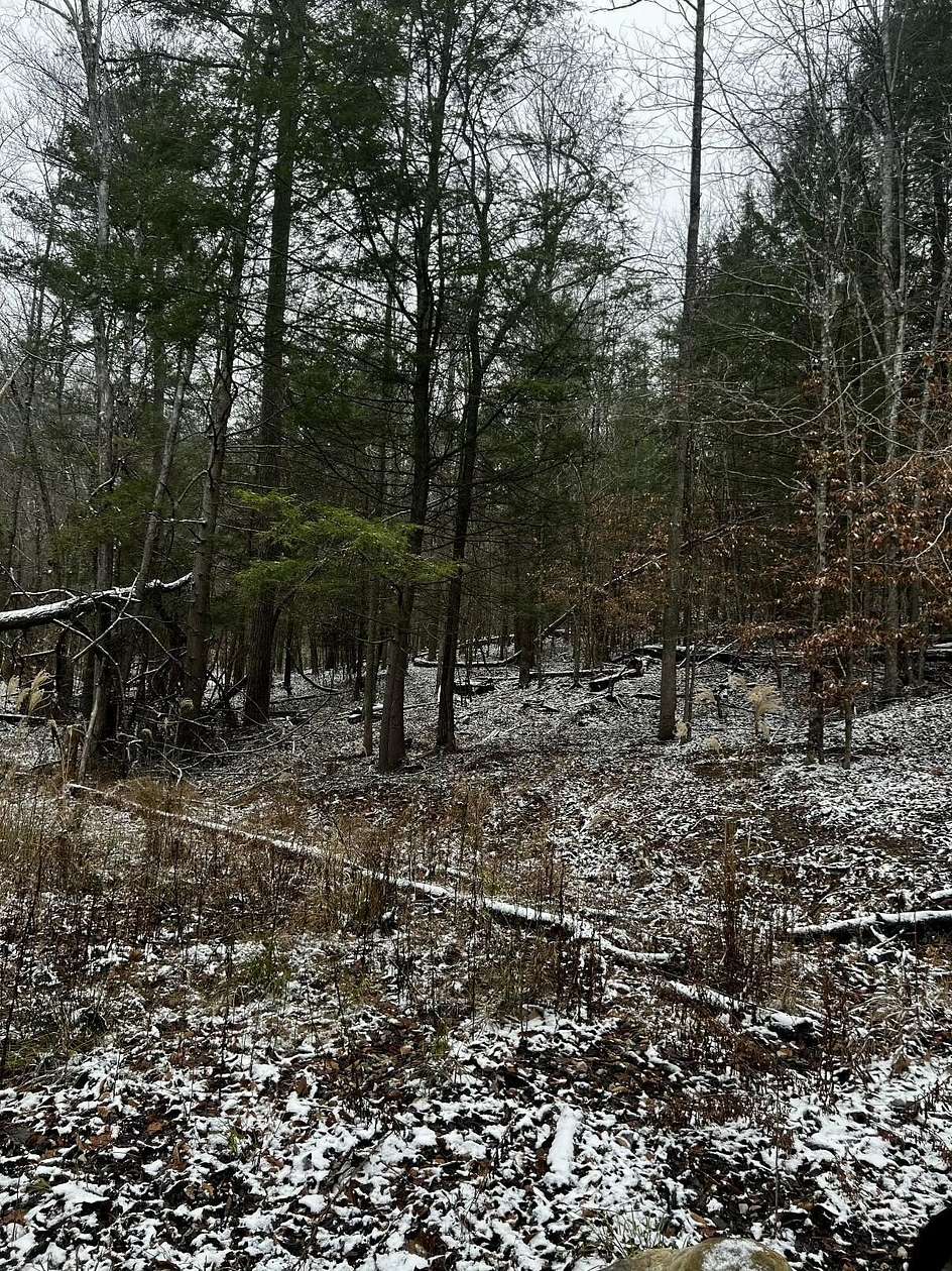 1.33 Acres of Residential Land for Sale in Rogers, Kentucky