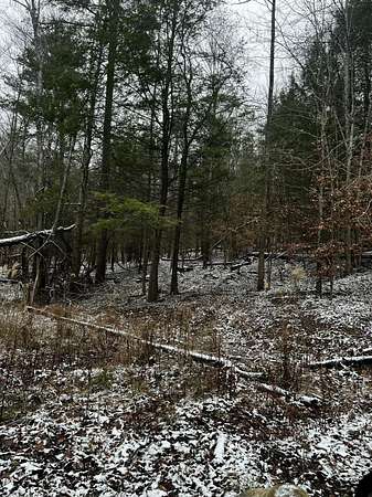 1.33 Acres of Residential Land for Sale in Rogers, Kentucky