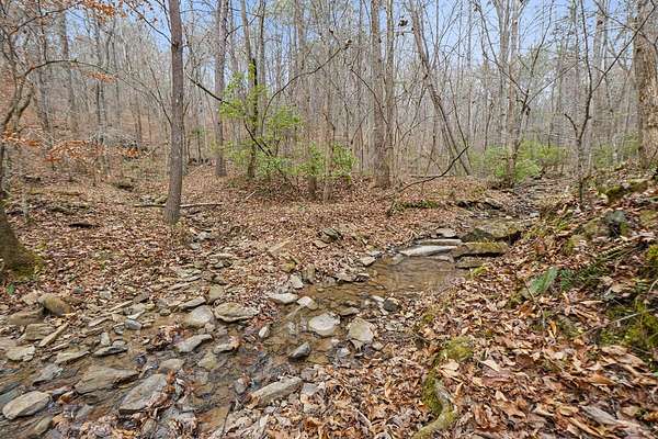 12.5 Acres of Recreational Land for Sale in Sale Creek, Tennessee