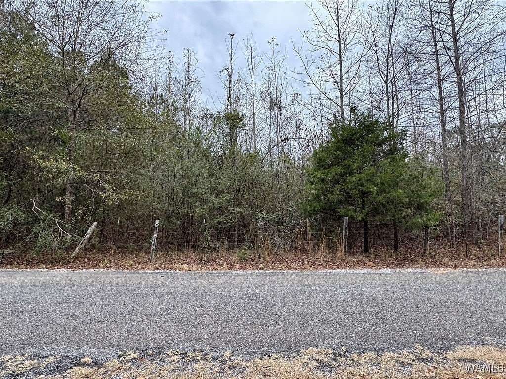 2.52 Acres of Residential Land for Sale in Centreville, Alabama