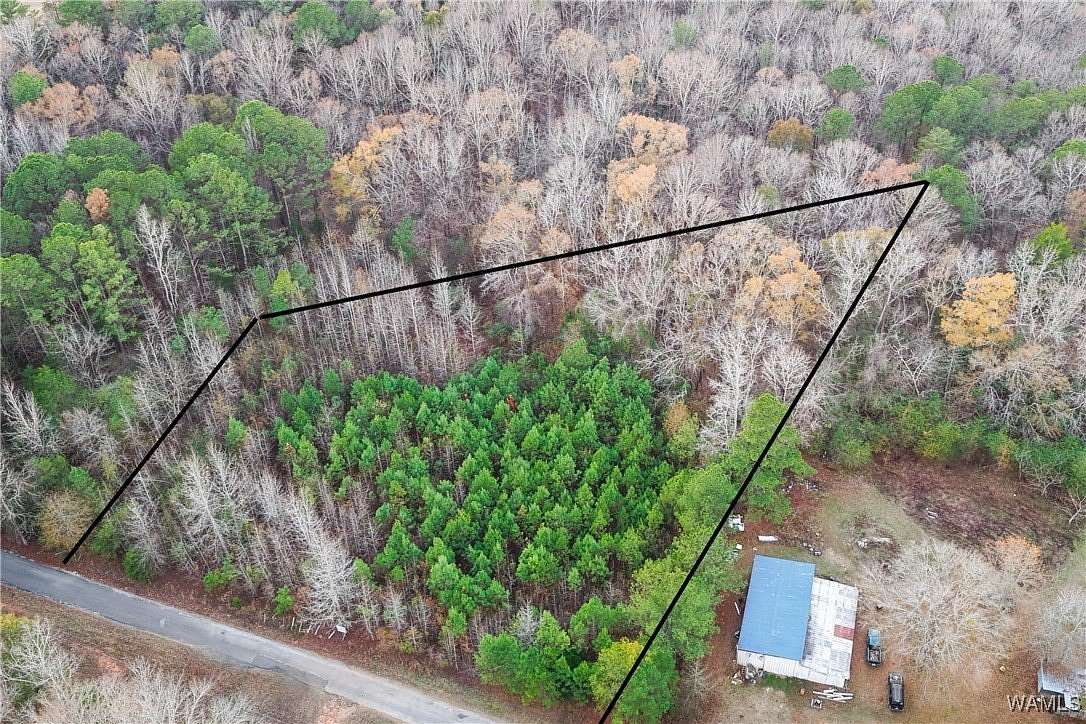 2.52 Acres of Residential Land for Sale in Centreville, Alabama
