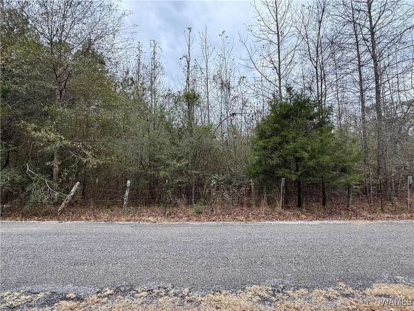 2.52 Acres of Residential Land for Sale in Centreville, Alabama