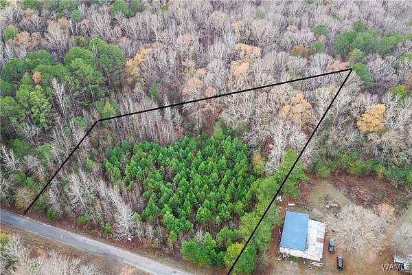 2.52 Acres of Residential Land for Sale in Centreville, Alabama
