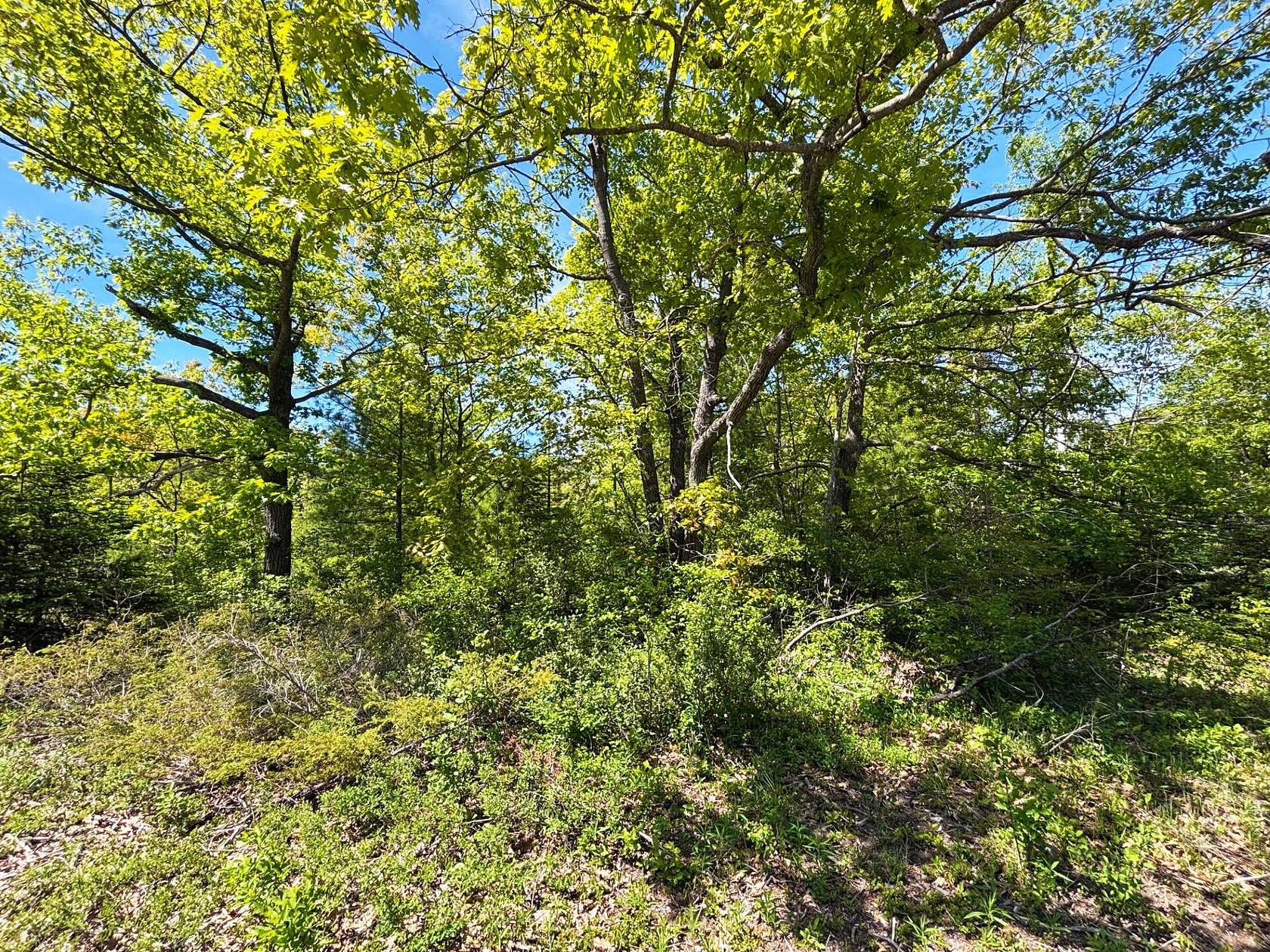 0.46 Acres of Residential Land for Sale in Presque Isle, Michigan