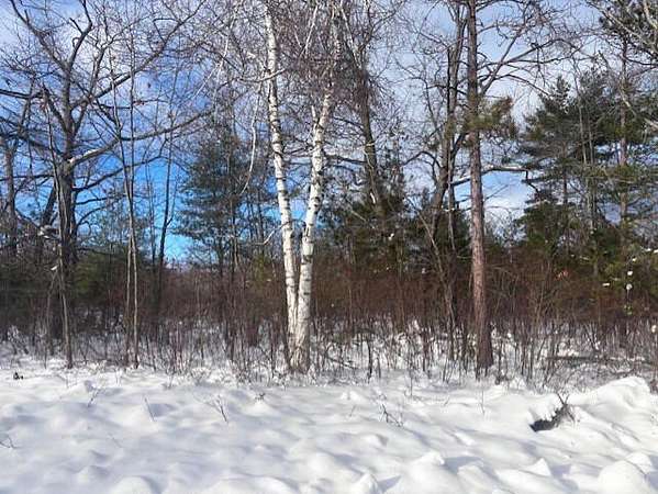 0.46 Acres of Residential Land for Sale in Presque Isle, Michigan