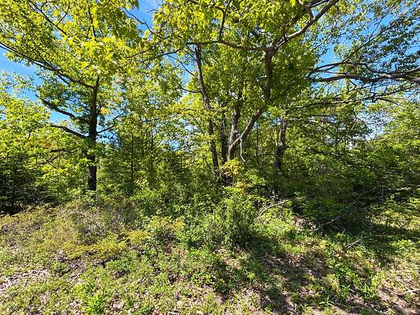 0.46 Acres of Residential Land for Sale in Presque Isle, Michigan
