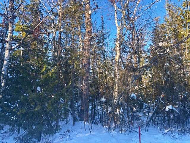 0.5 Acres of Residential Land for Sale in Presque Isle, Michigan