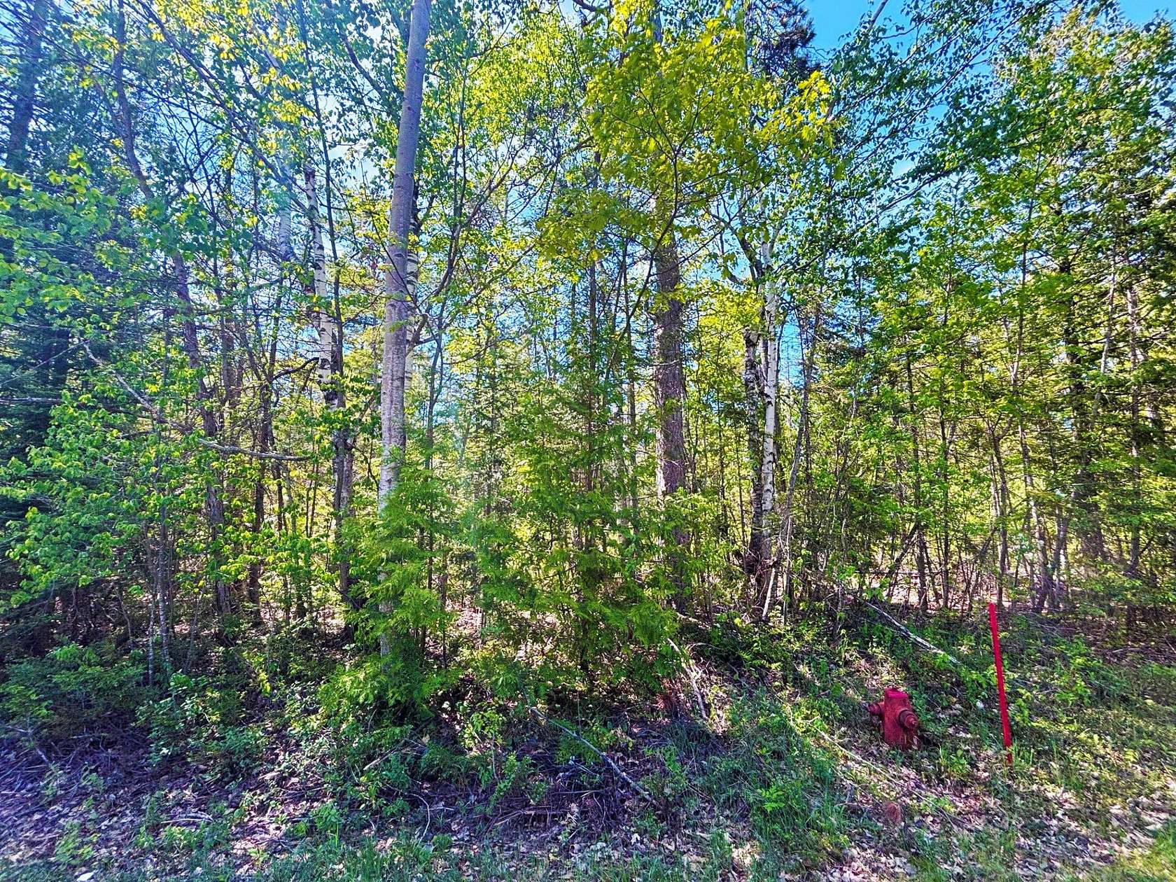 0.5 Acres of Residential Land for Sale in Presque Isle, Michigan