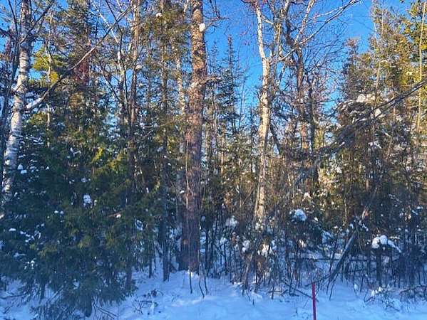 0.5 Acres of Residential Land for Sale in Presque Isle, Michigan