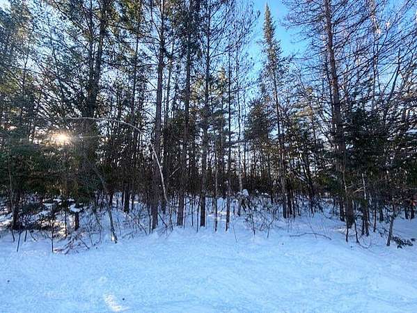 0.38 Acres of Residential Land for Sale in Presque Isle, Michigan