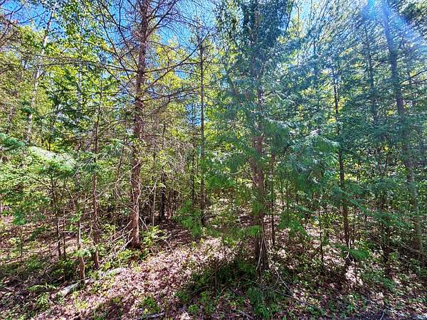 0.38 Acres of Residential Land for Sale in Presque Isle, Michigan