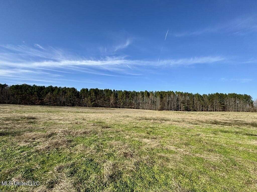 6.67 Acres of Residential Land for Sale in Bolton, Mississippi