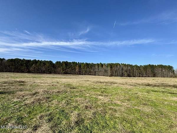 6.67 Acres of Residential Land for Sale in Bolton, Mississippi