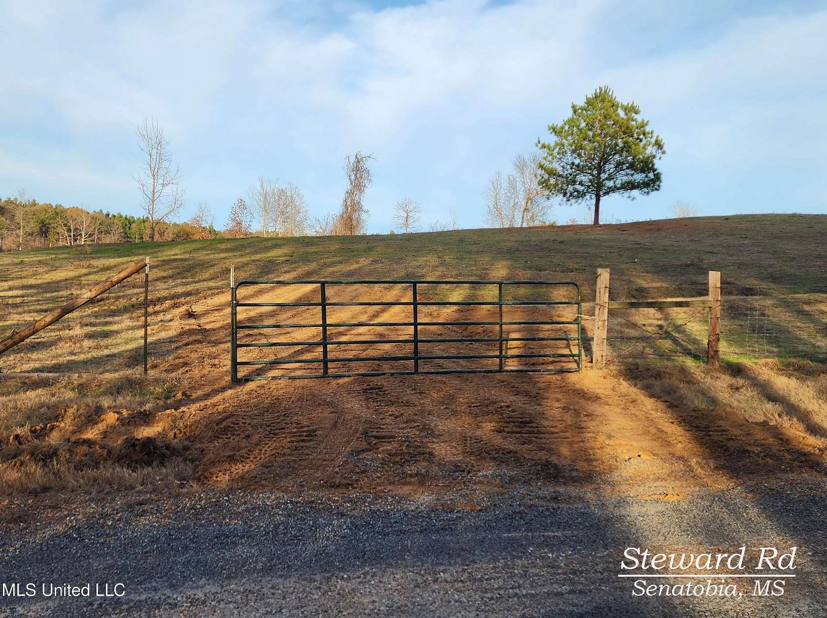 19.3 Acres of Agricultural Land for Sale in Senatobia, Mississippi