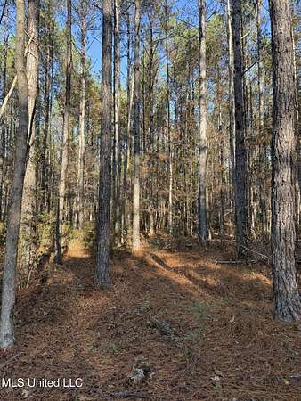 38 Acres of Recreational Land for Sale in McLain, Mississippi