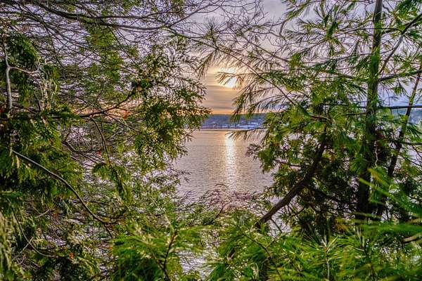 24 Acres of Land for Sale in Arrowsic, Maine