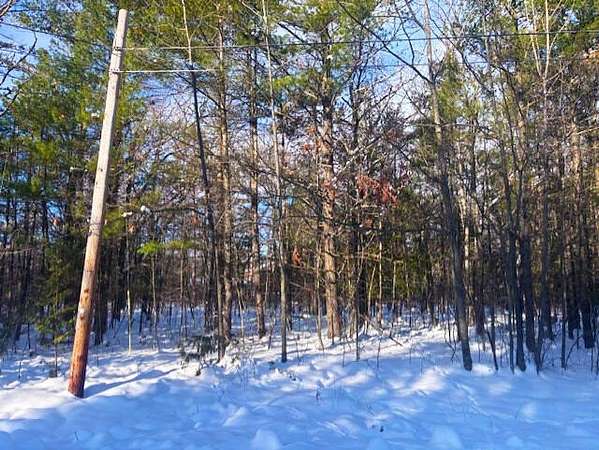 Residential Land for Sale in Presque Isle, Michigan