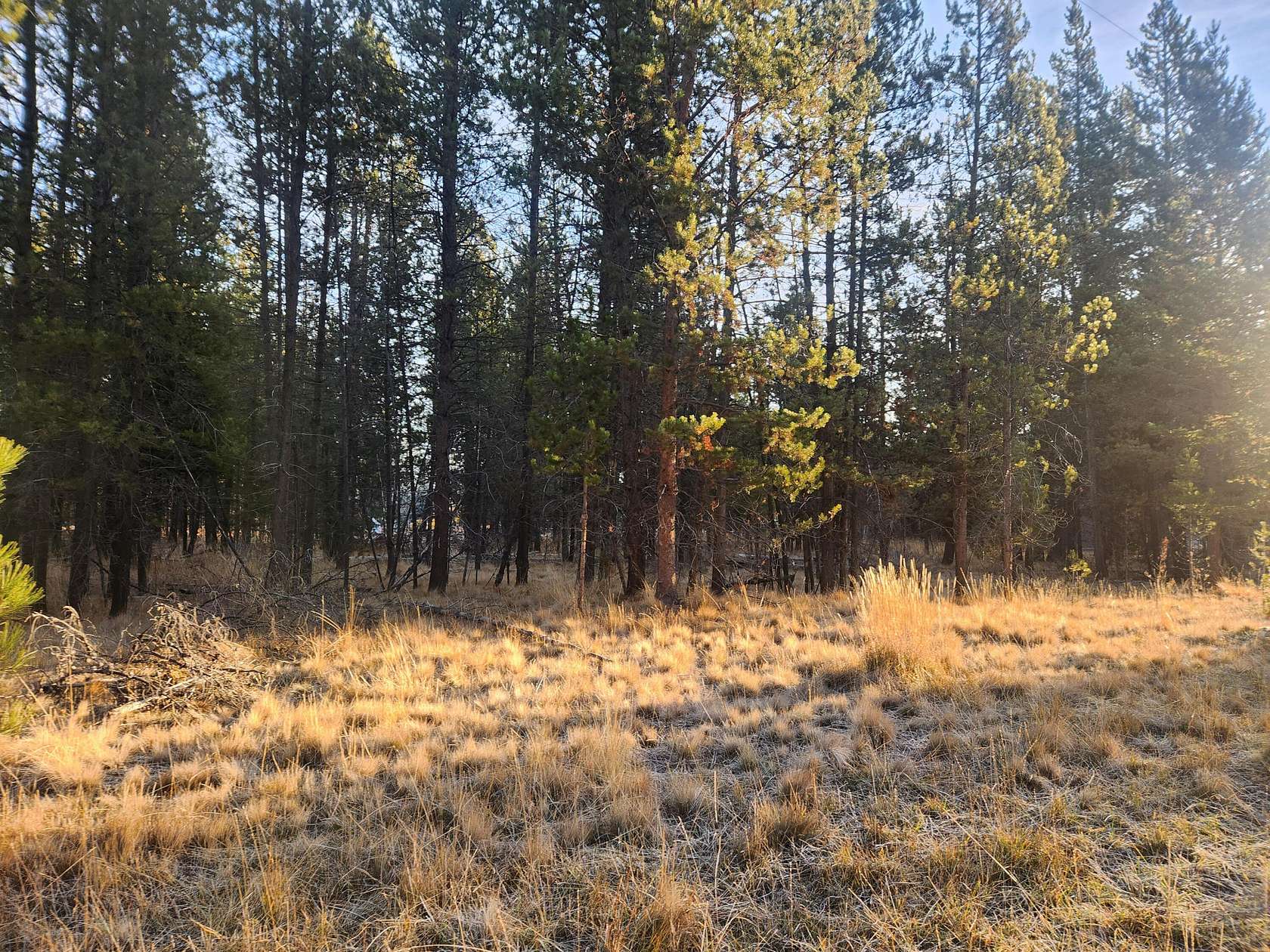 0.51 Acres of Residential Land for Sale in Bend, Oregon