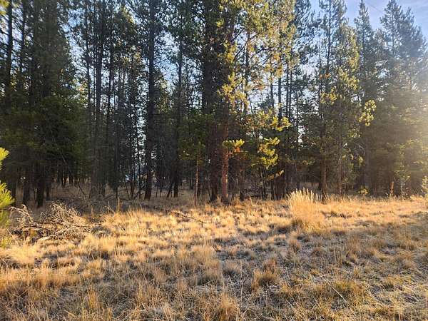0.5 Acres of Residential Land for Sale in Bend, Oregon