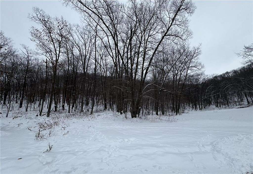 0.31 Acres of Residential Land for Sale in Lake City, Minnesota