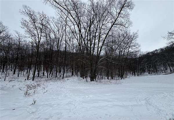 0.31 Acres of Residential Land for Sale in Lake City, Minnesota