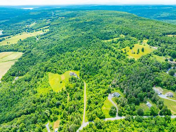 38.8 Acres of Recreational Land for Sale in New Scotland, New York