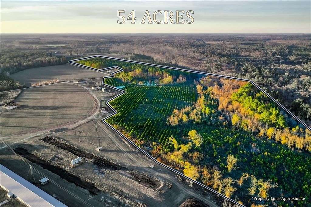 54.2 Acres of Land for Sale in Nicholls, Georgia