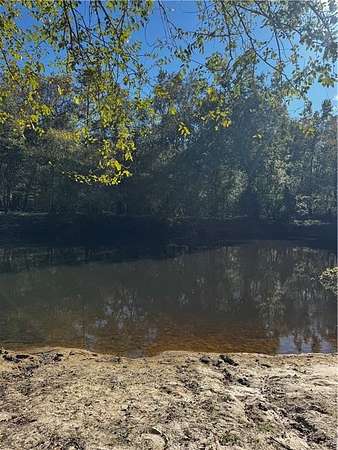 14 Acres of Recreational & Residential Land for Sale in Reidsville, Georgia