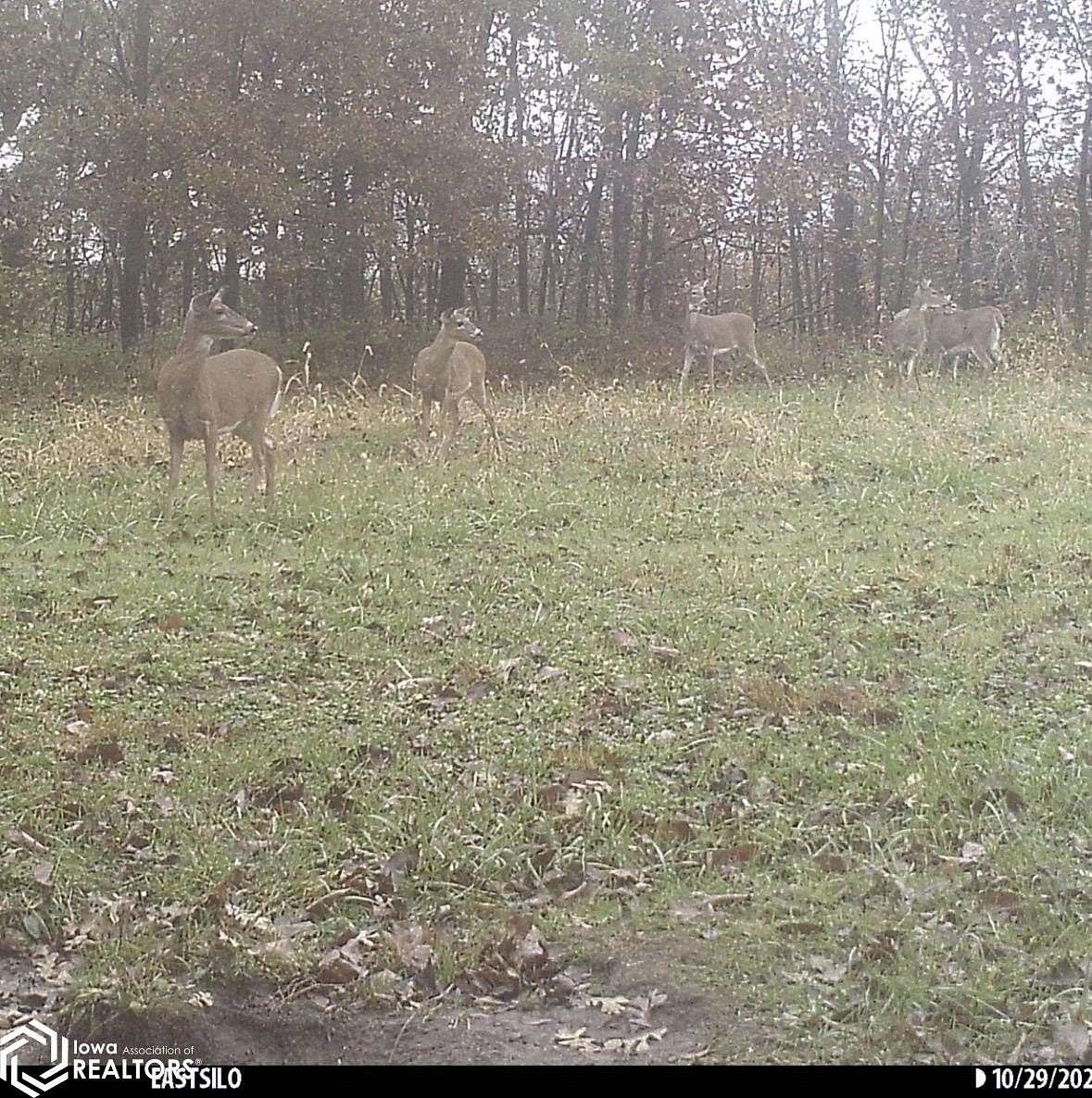 31.2 Acres of Land for Sale in Unionville, Iowa