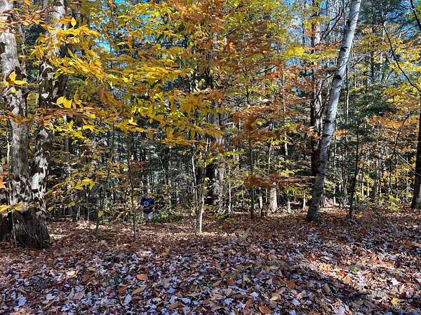 2.4 Acres of Residential Land for Sale in Wilmot, New Hampshire