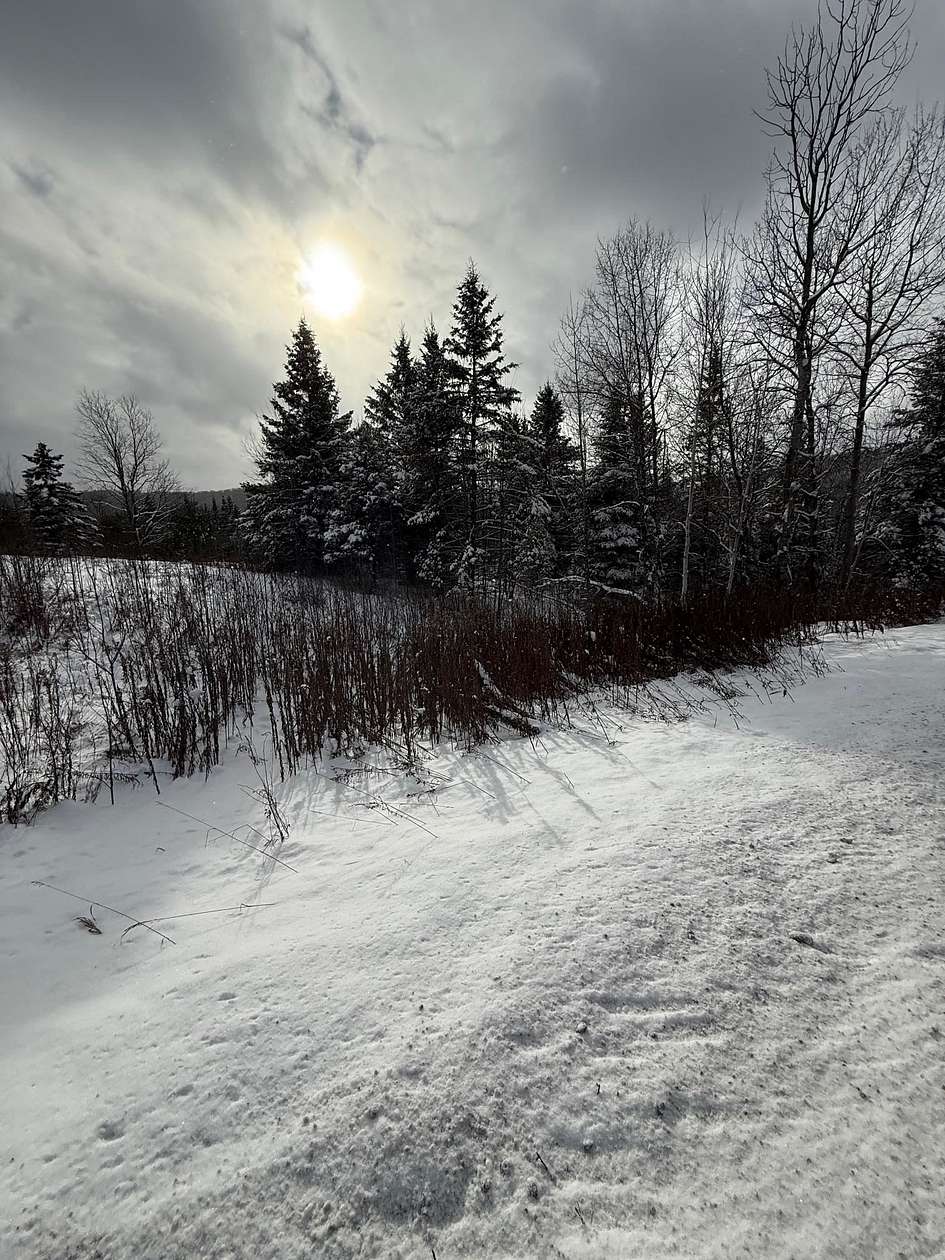 11.3 Acres of Land for Sale in Danville, Vermont