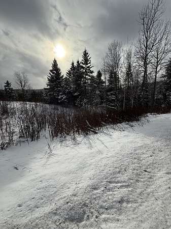 11.3 Acres of Land for Sale in Danville, Vermont