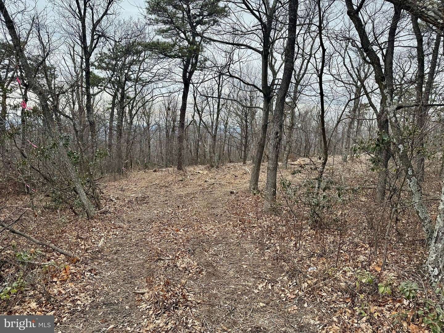 0.46 Acres of Residential Land for Sale in Winchester, Virginia