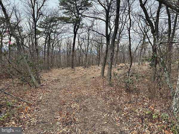 0.46 Acres of Residential Land for Sale in Winchester, Virginia