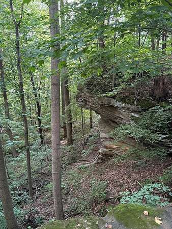 Land for Sale in Sharon Grove, Kentucky