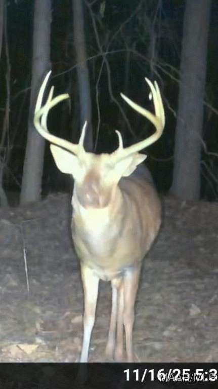 314 Acres of Recreational Land for Sale in Tallassee, Alabama