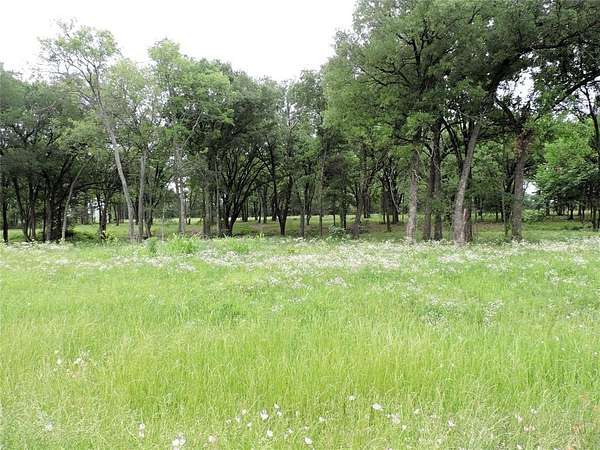 32.4 Acres of Land for Sale in Mabank, Texas
