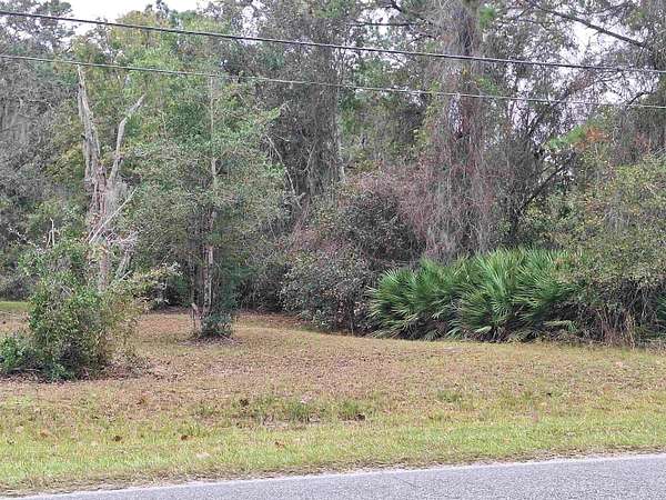0.5 Acres of Residential Land for Sale in Crescent City, Florida