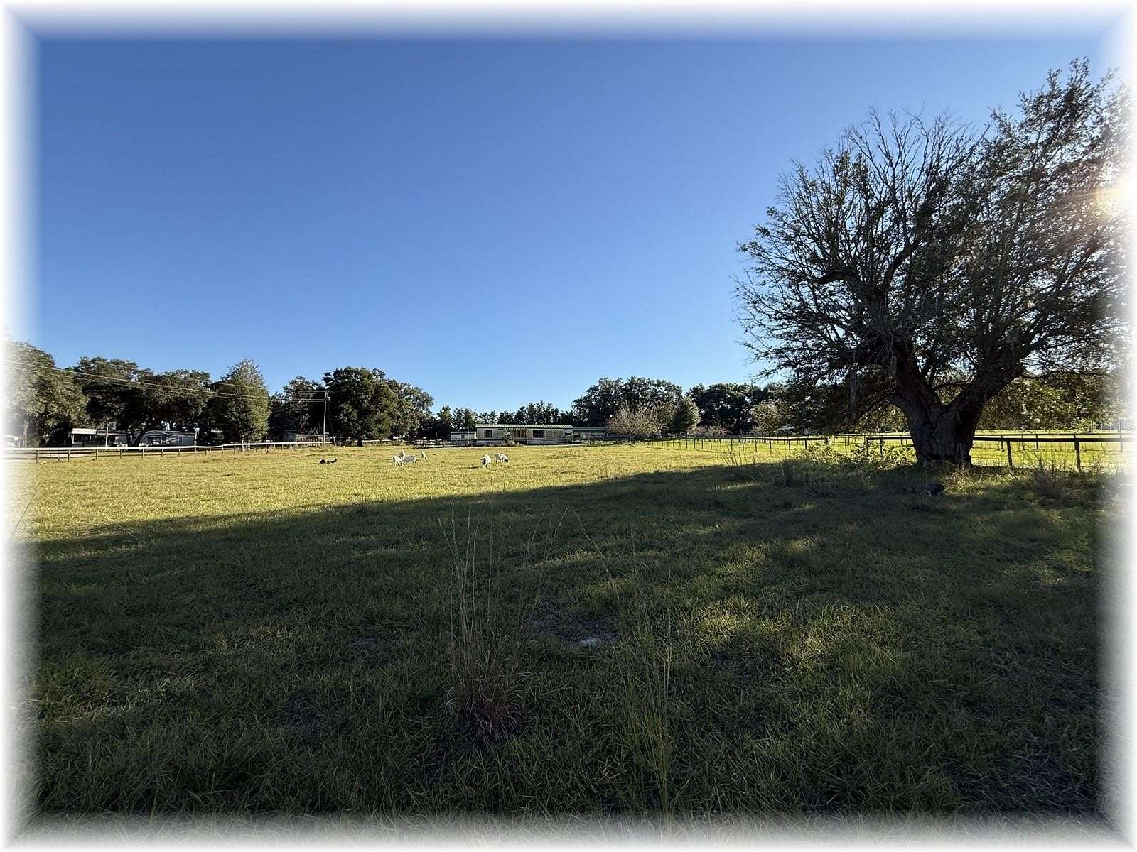 3.4 Acres of Residential Land with Home for Sale in Summerfield, Florida