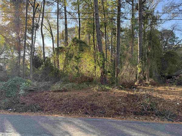 1 Acre of Residential Land for Sale in Longview, Texas
