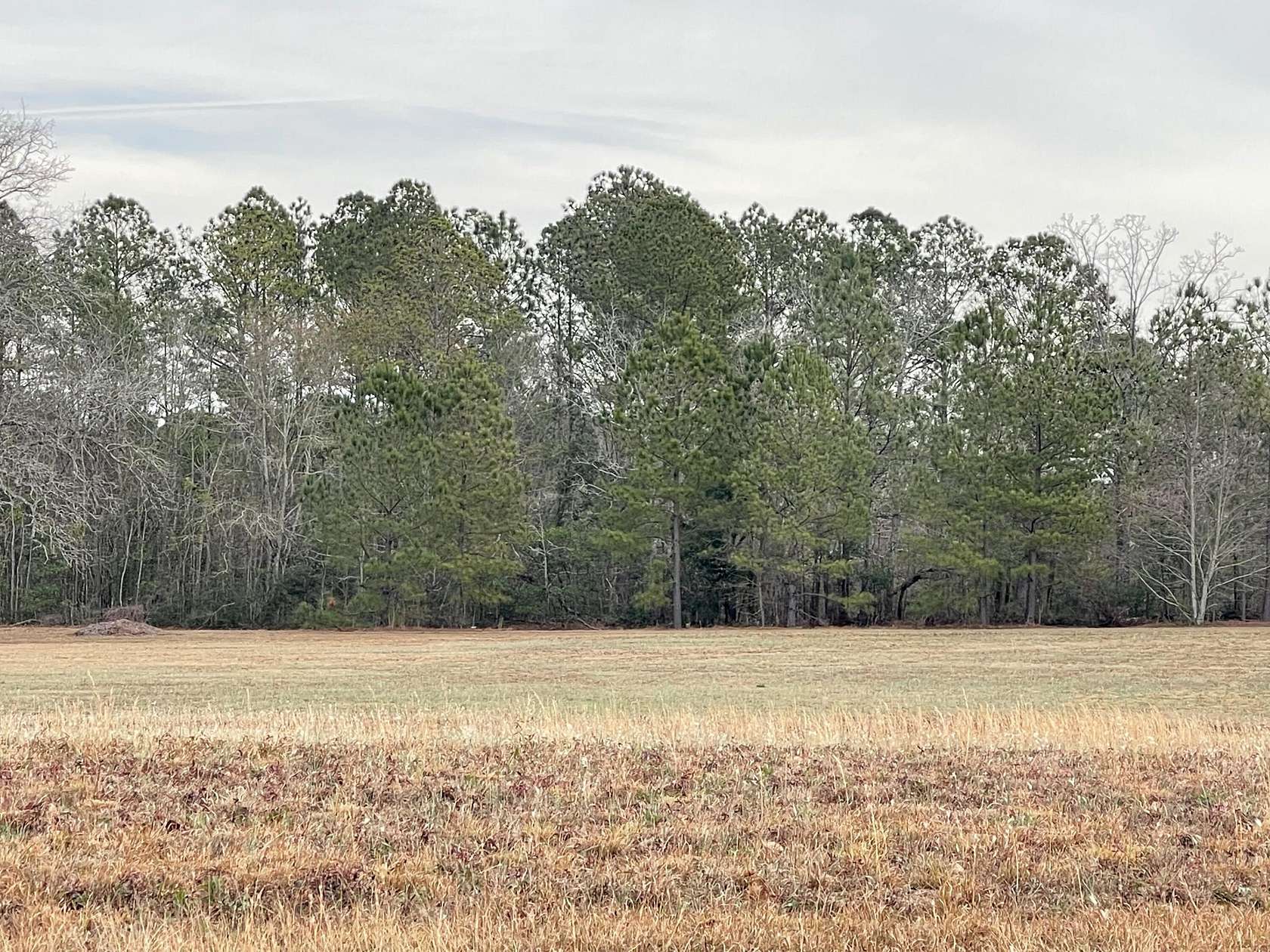 2 Acres of Land for Sale in Aiken, South Carolina