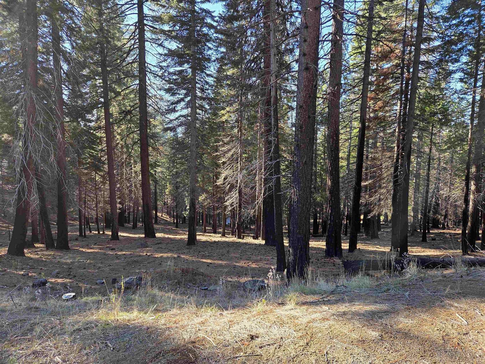 0.67 Acres of Land for Sale in Lake Almanor West, California