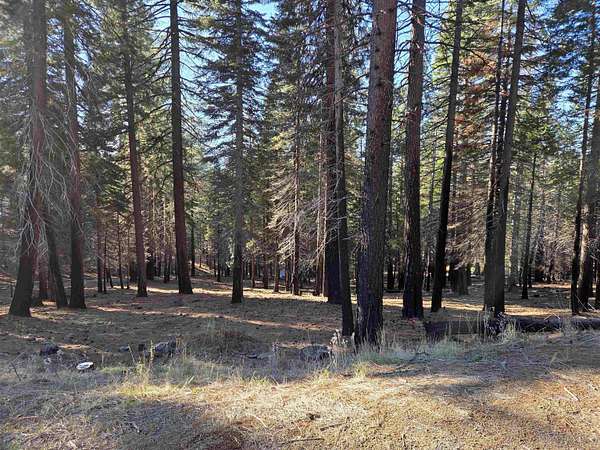 0.67 Acres of Residential Land for Sale in Lake Almanor West, California