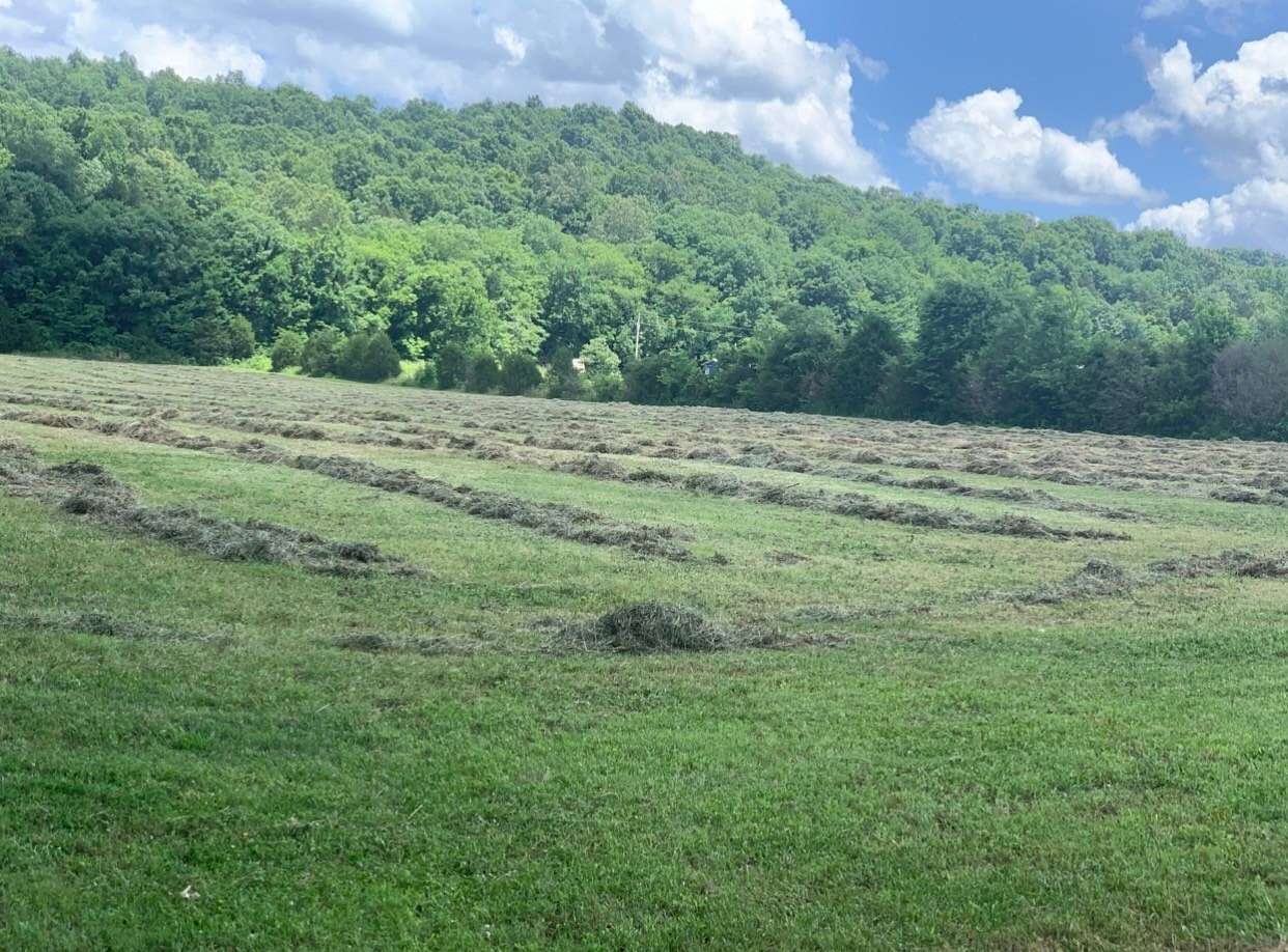 23.5 Acres of Land with Home for Sale in Linden, Tennessee