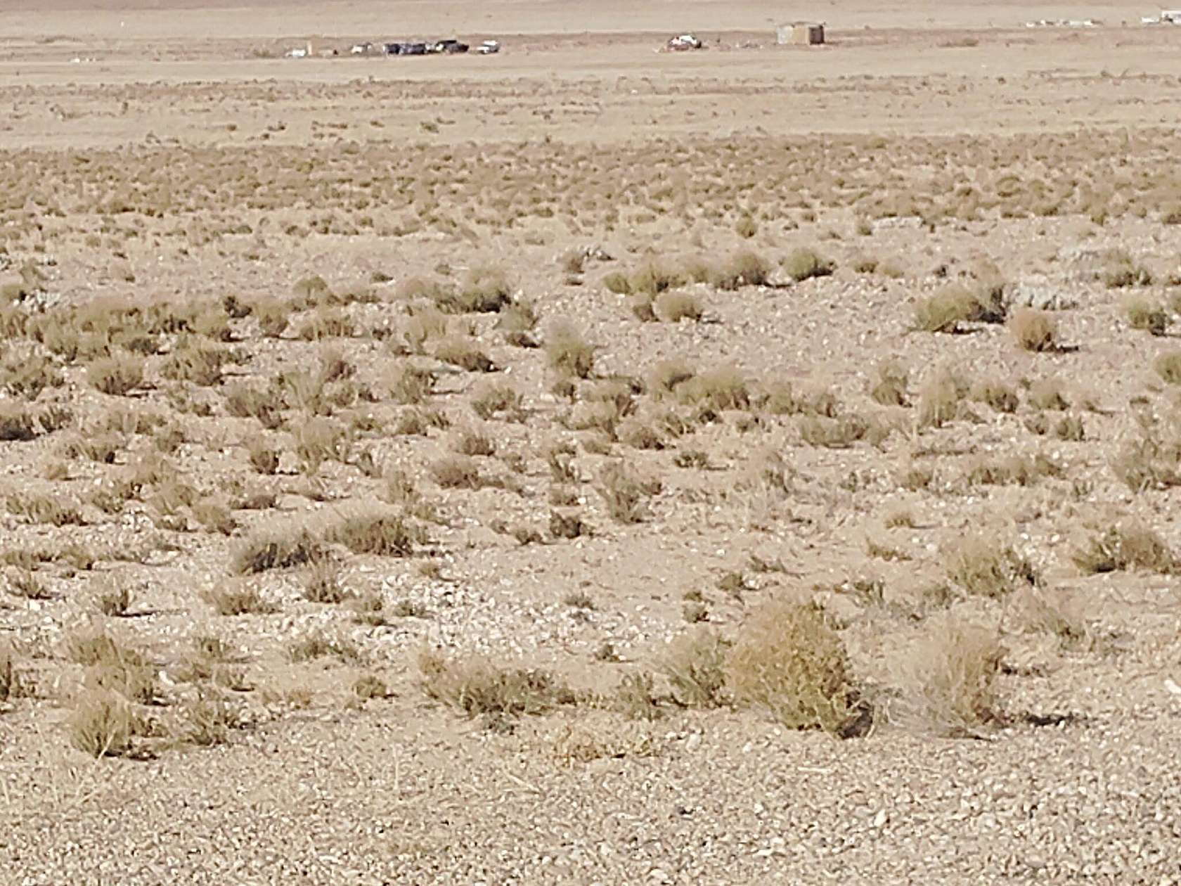 2.7 Acres of Residential Land for Sale in Veguita, New Mexico